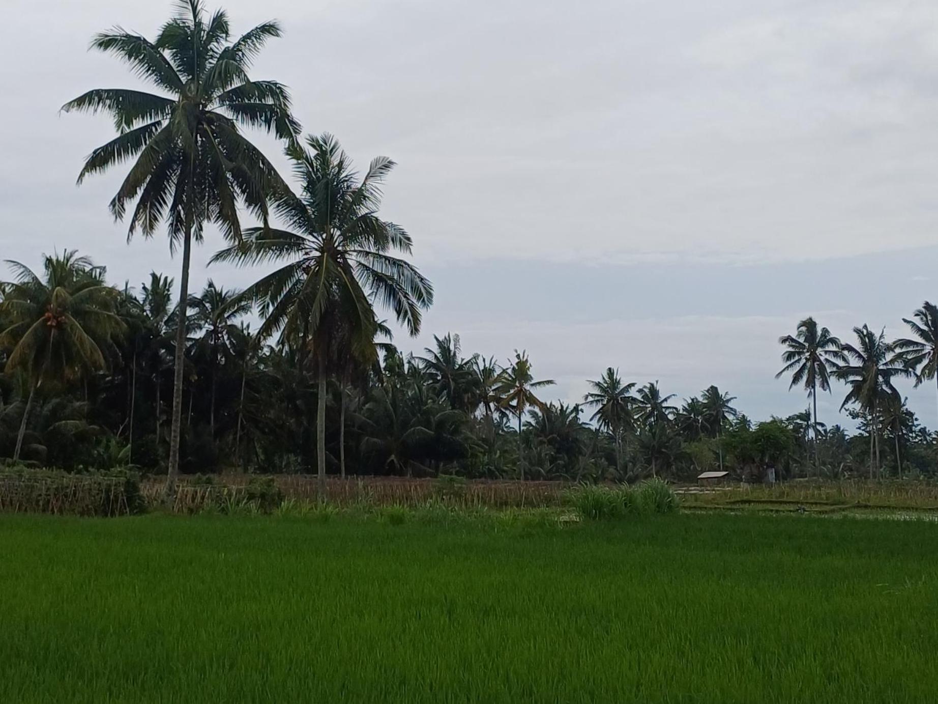 Hébergement de vacances Ilham Ketembong Tetebatu