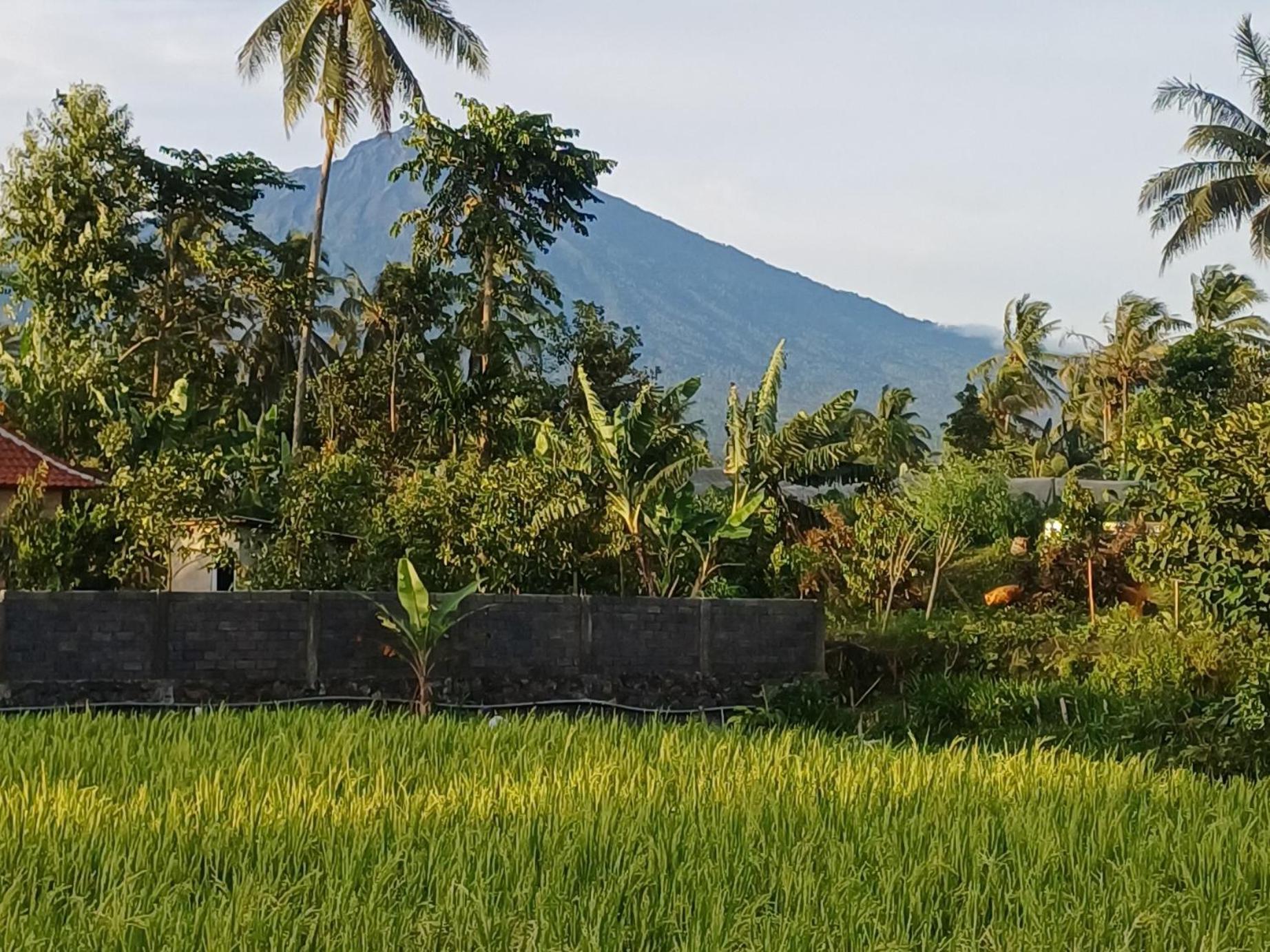Ilham Ketembong Holiday home Tetebatu